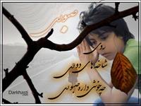 masoud (20).